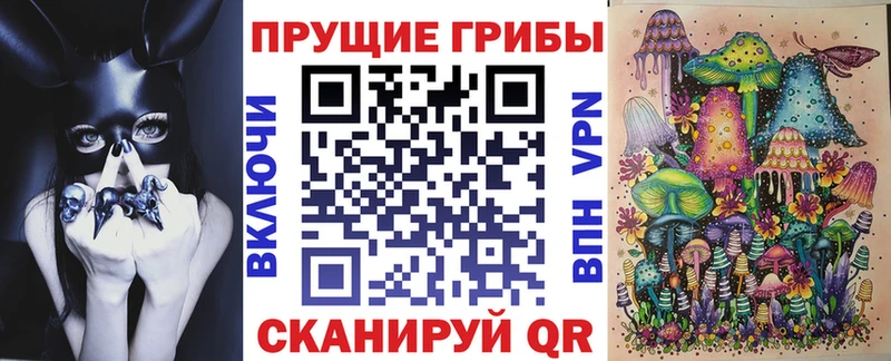 Псилоцибиновые грибы мицелий  Купить  Салехард 